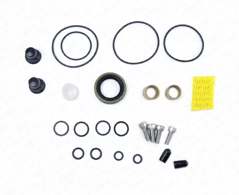 Denso Pump Repair Kit